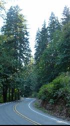 Loon Lake Road winding south through the Coast Range on the seven-mile run in from OR-38. courtesy of A'eron Blackman&nearr; (CC BY 3.0&nearr;)