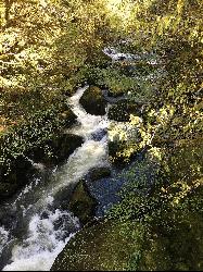 Mill Creek, the lake's outlet, dropping through mossy sandstone below the recreation site. courtesy of Bureau of Land Management Oregon and Washington from Portland, America&nearr; (Public domain&nearr;)
