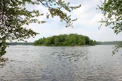 A wooded island out in Promised Land Lake courtesy of Yinan Chen&nearr; (Public Domain&nearr;)