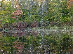 Promised Land Lake from the southern end of the park courtesy of Nicholas A. Tonelli from Pennsylvania, USA&nearr; (CC BY 2.0&nearr;)