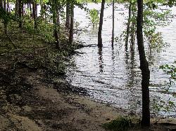 High water pushing into the tree line at Parkers Creek courtesy of bobistraveling&nearr; (CC BY 2.0&nearr;)