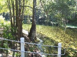 Handrail along the bank above the spring pool courtesy of Paul Clark&nearr; (CC BY 2.0&nearr;)