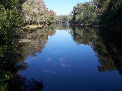 The tannic Santa Fe River at Poe Springs Park courtesy of Paul Clark&nearr; (CC BY 2.0&nearr;)