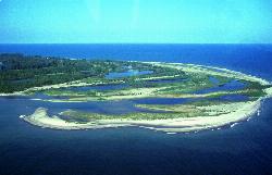 Aerial view of the peninsula from the northeast, with the Gull Point spit in the foreground courtesy of Robert K. Grubbs; cleaned up and color-corrected by Howcheng&nearr; (Public domain&nearr;)