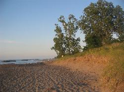 Dunes and cottonwoods behind the beach sand courtesy of Ruhrfisch&nearr; (CC BY-SA 3.0&nearr;)