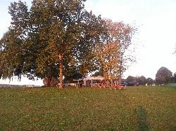Picnic tables and the concession stand on the lawn above the beach in the Dry Brooks Day Use Area courtesy of Augustin Liviu&nearr; (CC BY-SA 3.0&nearr;)
