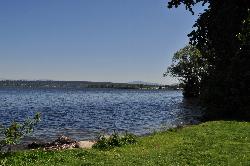 Rocky shoreline at the north end of the park, looking south down Lake Washington courtesy of Joe Mabel&nearr; (CC BY-SA 4.0&nearr;)