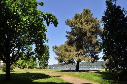 A footpath through the lawn leading down to the water courtesy of Joe Mabel&nearr; (CC BY-SA 4.0&nearr;)