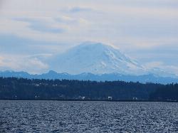 Mount Rainier on the horizon south of the park on a clear day courtesy of Latoya Ralliford&nearr; (CC BY-SA 4.0&nearr;)