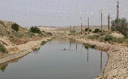 The Bessemer Ditch in the Arkansas River bottomland below Pueblo Dam, near Rock Canyon. courtesy of Jeffrey Beall&nearr; (CC BY 4.0&nearr;)