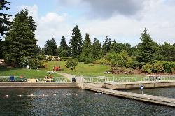 Evergreens shading the lawn above the beach at Clyde Beach Park. courtesy of dph1110&nearr; (CC BY 2.0&nearr;)