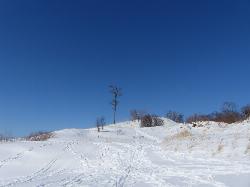 Dunes rising behind the Lake Michigan shoreline inside the park. courtesy of John Winkelman&nearr; (CC BY 2.0&nearr;)