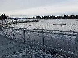 The curved floating pedestrian pier at Meydenbauer Bay Park courtesy of Mark Yasuda&nearr; (CC BY-SA 4.0&nearr;)