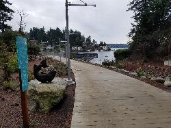 Park walkway heading south toward the beach area at Meydenbauer Bay Park courtesy of Mark Yasuda&nearr; (CC BY-SA 4.0&nearr;)
