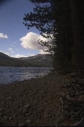 Donner Lake from the north shore looking toward Donner Pass courtesy of Pacyosemite&nearr; (CC BY-SA 4.0&nearr;)