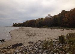 Beach and the wooded bluff behind it in autumn color courtesy of Yinan Chen&nearr; (Public Domain&nearr;)