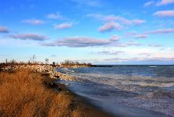 The Lake Michigan shoreline at Illinois Beach State Park. courtesy of Yinan Chen&nearr; (Public Domain&nearr;)