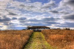 The path to the day use picnic area behind the beach. courtesy of Yinan Chen&nearr; (Public Domain&nearr;)