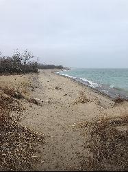 Looking north along the public beach in the south unit. courtesy of Ironandwire&nearr; (CC BY-SA 4.0&nearr;)