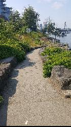 The paved path dropping through basalt toward the river courtesy of Another Believer&nearr; (CC BY-SA 4.0&nearr;)