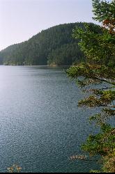 The shoreline at Cascade Lake in Moran State Park courtesy of ozmafan&nearr; (CC BY 2.0&nearr;)