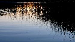 Summer evening light on Cascade Lake, Orcas Island courtesy of niklaus morin&nearr; (CC BY 2.0&nearr;)