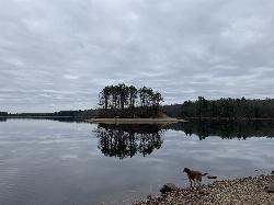 Bacon Island, the wooded island out in Hopkinton Reservoir courtesy of CresaLP&nearr; (CC BY-SA 4.0&nearr;)
