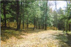 A wooded campsite with picnic table and lantern post at Lyman Run State Park. courtesy of User:Dincher&nearr; (CC BY-SA 3.0&nearr;)