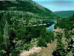 Driftwood piled at the upper arm of the reservoir, with granite benches left bare by the seasonal dr