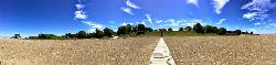 Looking back from the sand at the wooded bluff and the boardwalk running down to the beach courtesy of Michael A. Orlando&nearr; (CC BY-SA 3.0&nearr;)