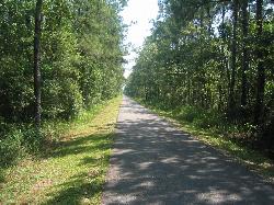 The paved Tammany Trace rail trail near Mandeville, which runs through the park added by freearenas (Public domain&nearr;)