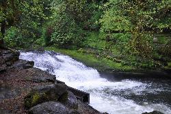 The main drop and the mouth of one of the 1989 fish passage structures. courtesy of Finetooth&nearr; (CC BY-SA 3.0&nearr;)