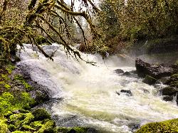 Winter flow filling the gorge, when the reach is not swimmable. courtesy of Bureau of Land Management Oregon and Washington&nearr; (Public domain&nearr;)