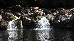 Cavitt Creek drops about eight feet into the plunge pool. courtesy of Bureau of Land Management Oregon and Washington&nearr; (Public domain&nearr;)