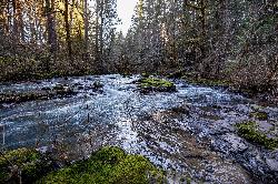 High winter flow in late February, when the pool is no place to swim. courtesy of BLM Oregon & Washington&nearr; (Public domain&nearr;)