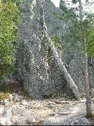 An old dead tree leaning against rock on the Sylvan Lake shoreline. courtesy of Wusel007&nearr; (CC BY-SA 4.0&nearr;)