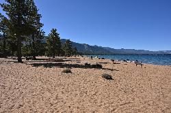 Pines running down to the back of the sand, with the lake on the right. courtesy of G. Edward Johnson&nearr; (CC BY 4.0&nearr;)