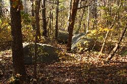 Diabase boulders scattered through the park, the bedrock that shapes this corner of York County. courtesy of Jstuby&nearr; (CC0&nearr;)