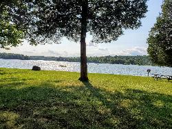 Shoreline view within Gifford Pinchot State Park in York County. courtesy of JNolt&nearr; (CC0&nearr;)
