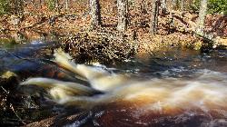 Tobyhanna Creek, the tannin-rich stream that feeds the lake and gives it its tea-brown color. courtesy of Nicholas A. Tonelli from Northeast Pennsylvania, USA&nearr; (CC BY 2.0&nearr;)
