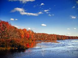 An inlet on Tobyhanna Lake where the shoreline shelves gradually into the water. courtesy of Nicholas A. Tonelli from Pennsylvania, USA&nearr; (CC BY 2.0&nearr;)