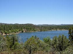 Open water and wooded shoreline at Lynx Lake in the Bradshaw Mountains southeast of Prescott. courtesy of Benjamin Cody&nearr; (CC BY-SA 3.0&nearr;)