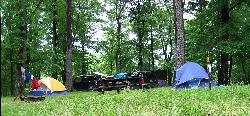 Campsite in Raccoon Creek State Park. courtesy of Jason Pratt&nearr; (CC BY 2.0&nearr;)