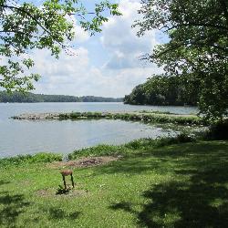 Blinko Fishing Pier and picnic area on Rocky Fork Lake, known locally as The T. courtesy of Aesopposea&nearr; (CC BY-SA 3.0&nearr;)