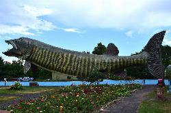 The 143-foot walk-through muskie at the National Fresh Water Fishing Hall of Fame, the landmark the  courtesy of TheCatalyst31&nearr; (CC BY-SA 4.0&nearr;)