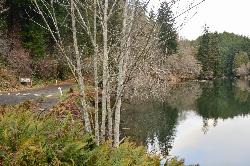 Shoreline of Lake Sylvia inside the state park courtesy of Photo by Joe Mabel&nearr; (CC BY-SA 4.0&nearr;)