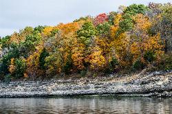 Thin-bedded rock ledges along the lakeshore below hardwood timber courtesy of mostateparks&nearr; (Public domain&nearr;)