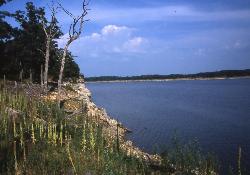 Rocky shoreline and open water on Mark Twain Lake courtesy of mostateparks&nearr; (Public domain&nearr;)
