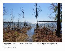 Shoreline at the Seaforth access on Jordan Lake courtesy of Darren Wilkinson&nearr; (CC BY-SA 2.0&nearr;)