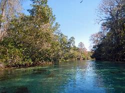 The Weeki Wachee River winding downstream from the spring boil courtesy of Fredlyfish4&nearr; (CC BY-SA 3.0&nearr;)